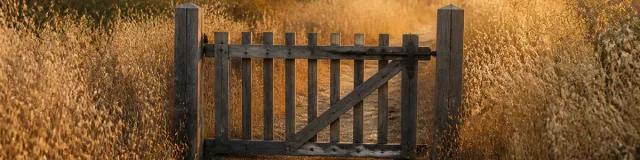 Late-day honey light on a weathered cedar rectilinear picket garden gate with a diagonal brace, closed across a dry oat-grass path