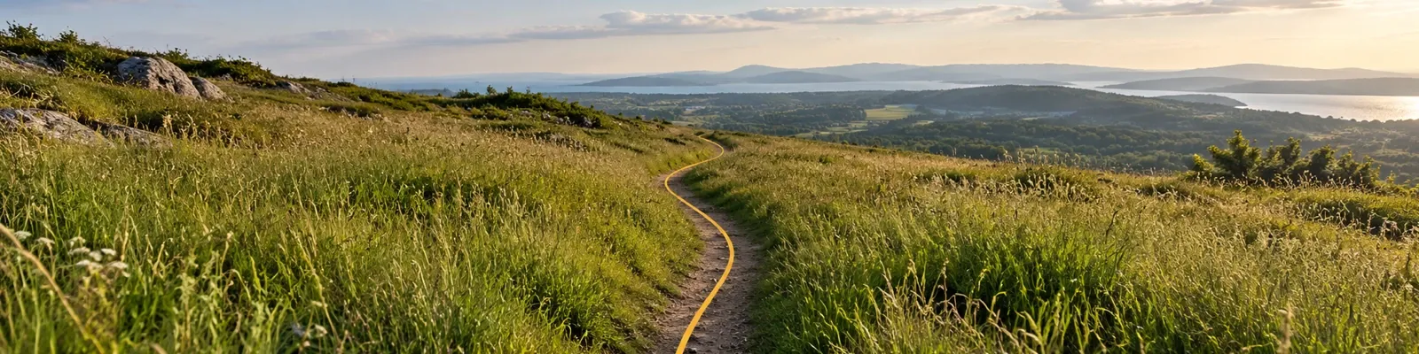 A quiet grassland trail with a marigold line following its unforced direction